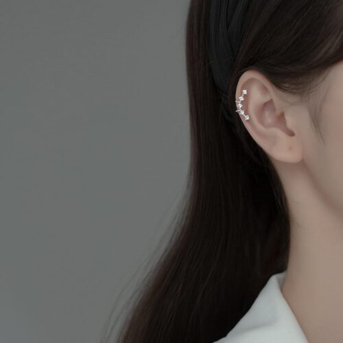 Silver Diamond With Row Ear Rings