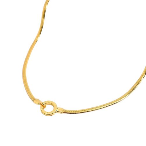 Fashion Retro Thin Flat Snake Bone Necklace