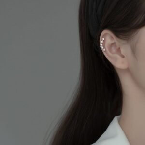 Silver Diamond With Row Ear Rings