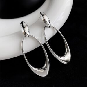 Silver Needle Round Ring Oval Face Slim Earrings Women’s New Trendy Korean Version Heavy Work Ear Studs