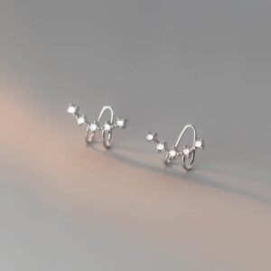 Silver Diamond With Row Ear Rings
