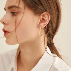 Light Luxury Design Double Ring Moissanite High Sense Niche S925 Silver Tassel Earrings